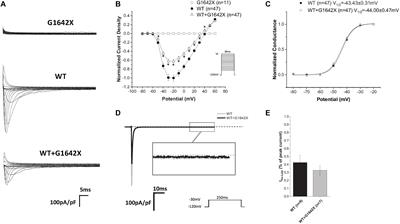 A Heart Failure-Associated SCN5A Splice Variant Leads to a Reduction in Sodium Current Through Coupled-Gating With the Wild-Type Channel